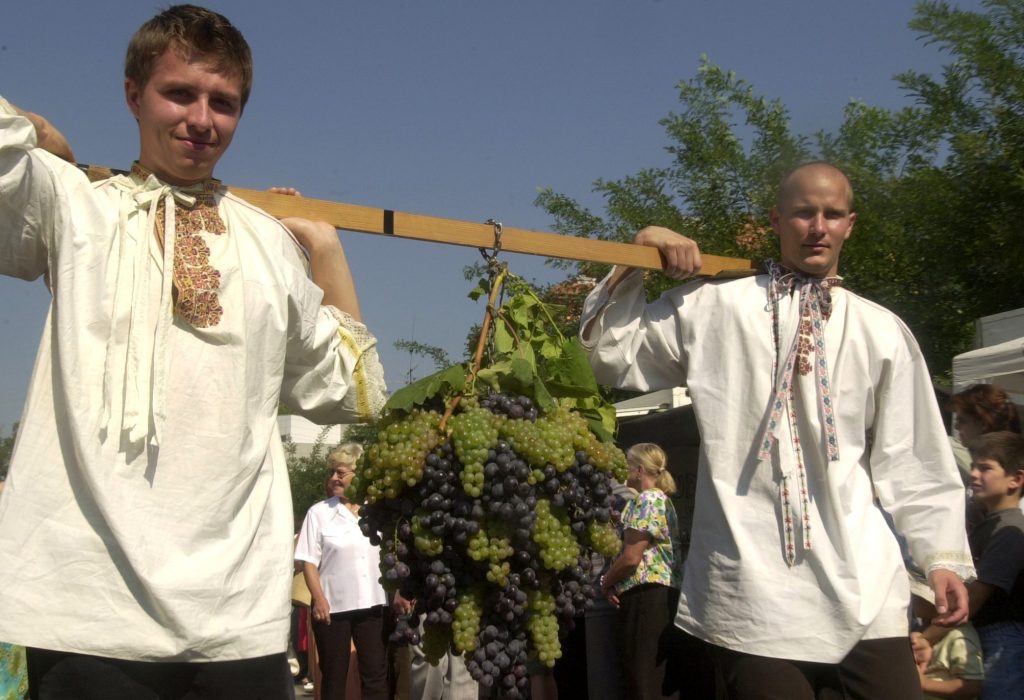 Vinohradníci, vinári a víno v slovenských dejinách