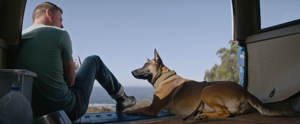 Tipy na víkend: Začína nová séria Fargo, Riaditeľky zemegule v Gunagu, v kine novinka o psoch plus ďalšie tipy z YouTube