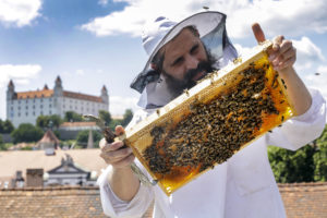 Slovensko ako prvý štát EÚ ponúka overenie kvality a pravosti medu. Metódu vyvinul tím zo Slovenskej akadémie vied