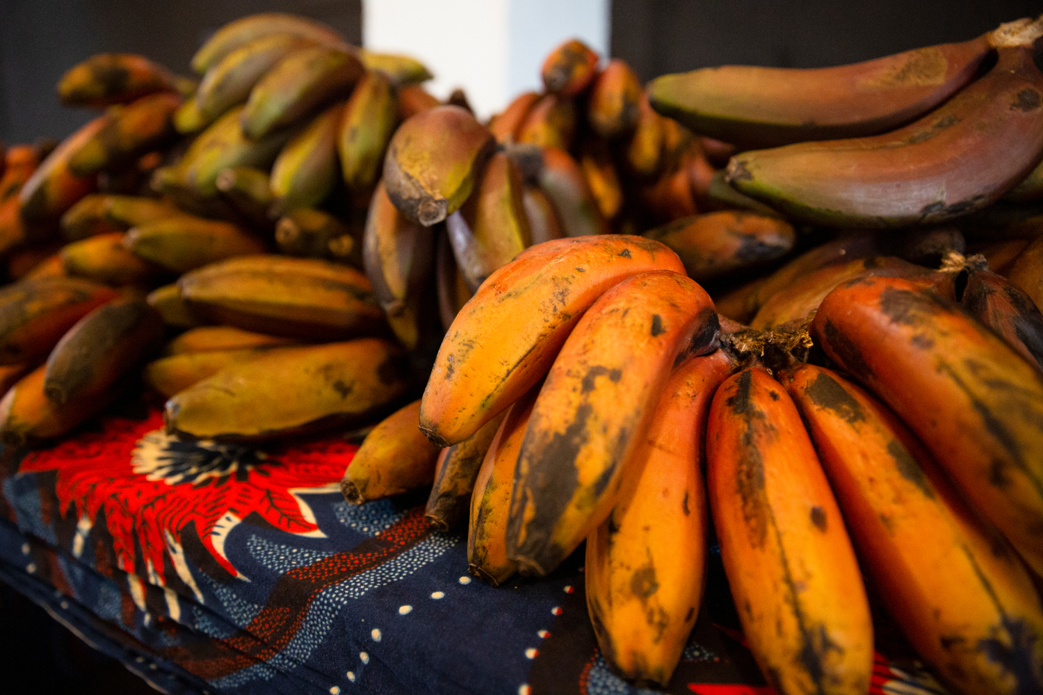 Vo veľkosklade obchodného reťazca našli kokaín
