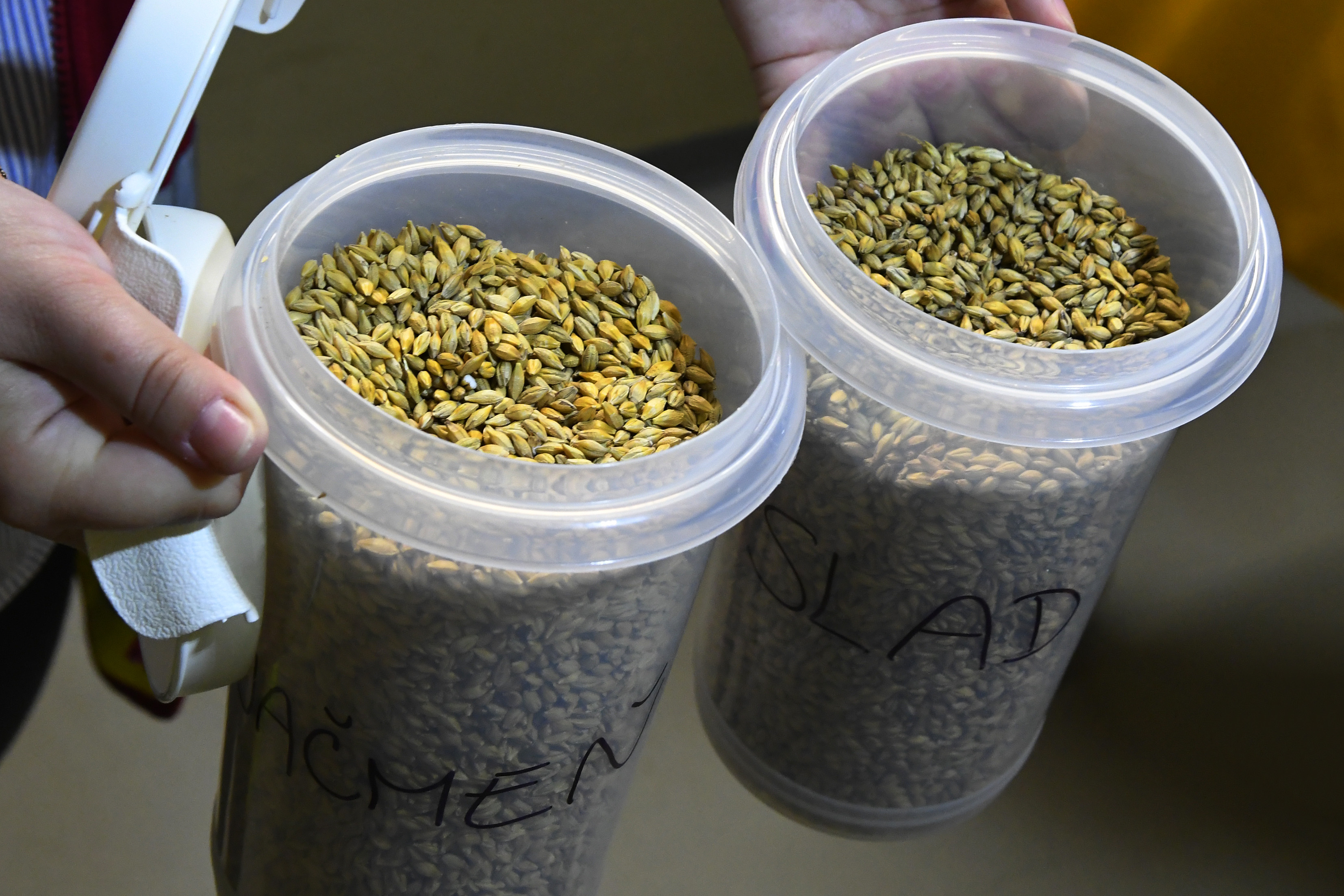 EÚ zaradila Trnavský slad na zoznam chránených zemepisných označení