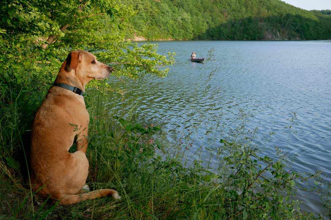 ÚVZ varuje: V týchto vodných nádržiach sa radšej nekúpte