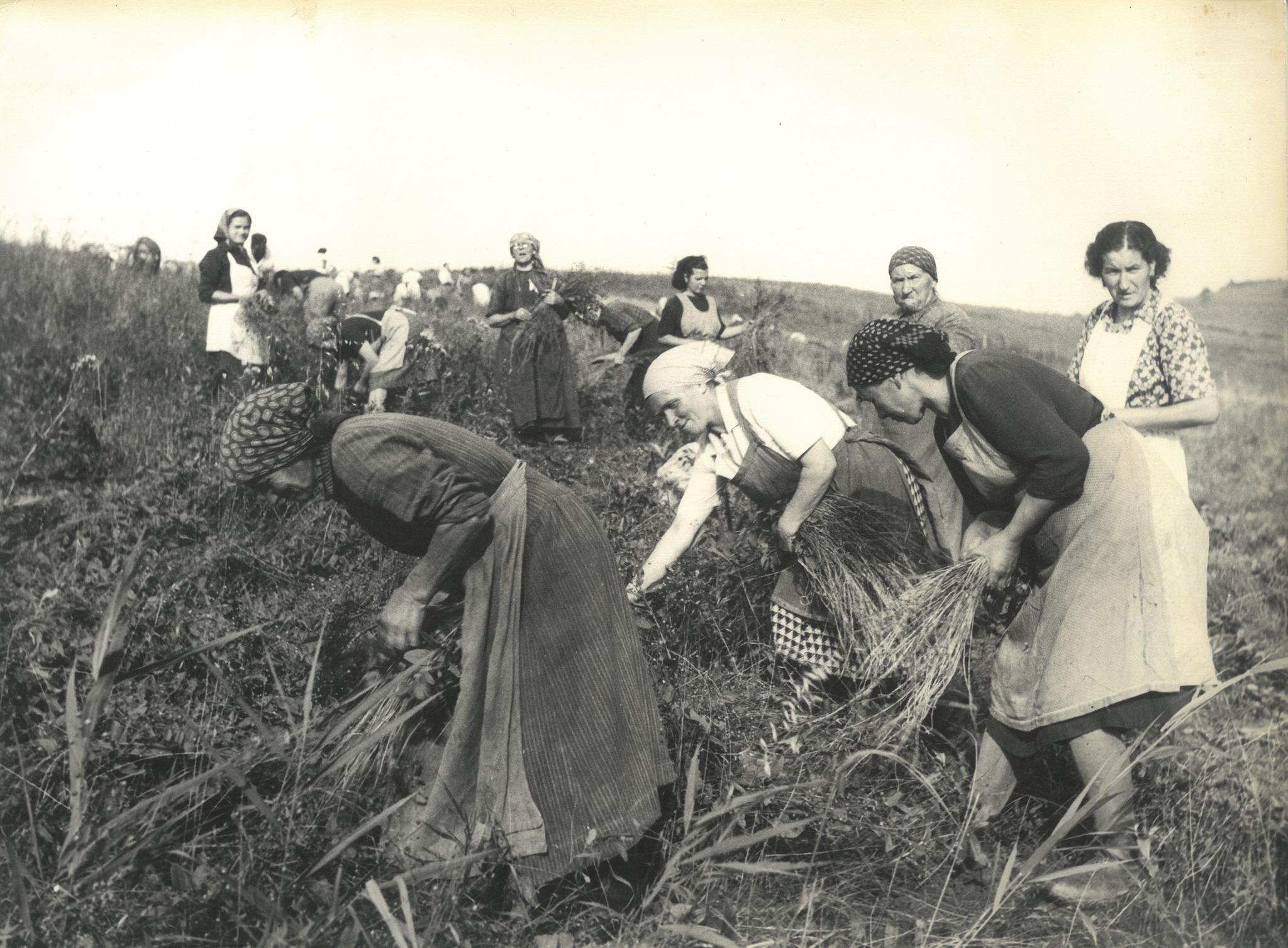 FOTO: Retro leto na Liptove