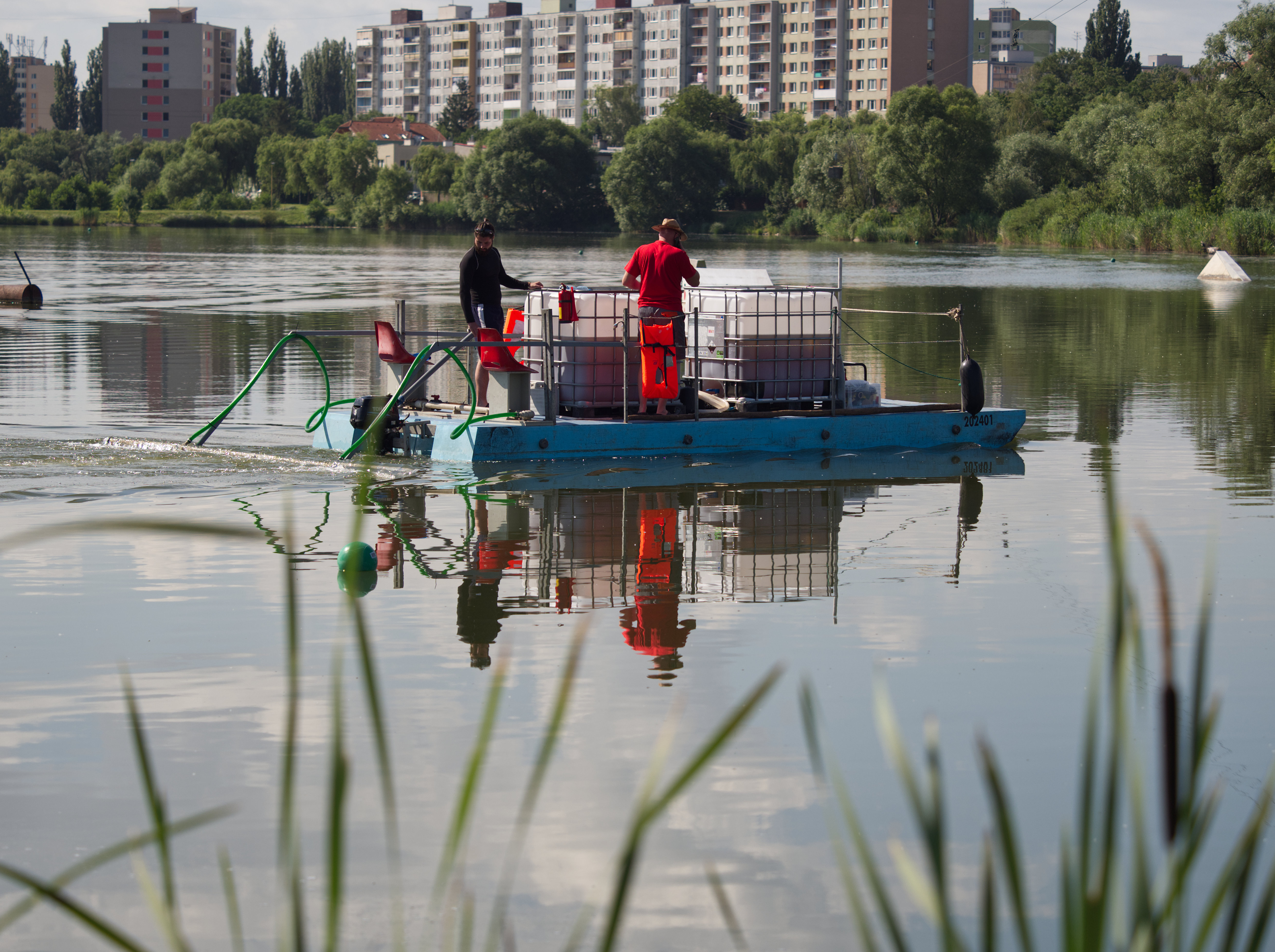 Do vody v jazere opäť aplikujú špeciálny prípravok na odstránenie siníc
