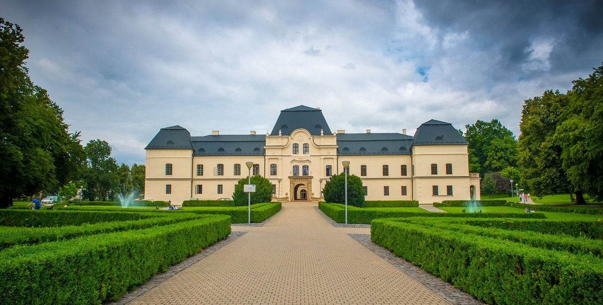 Výstava vo Vihorlatskom múzeu približuje svet hmyzu