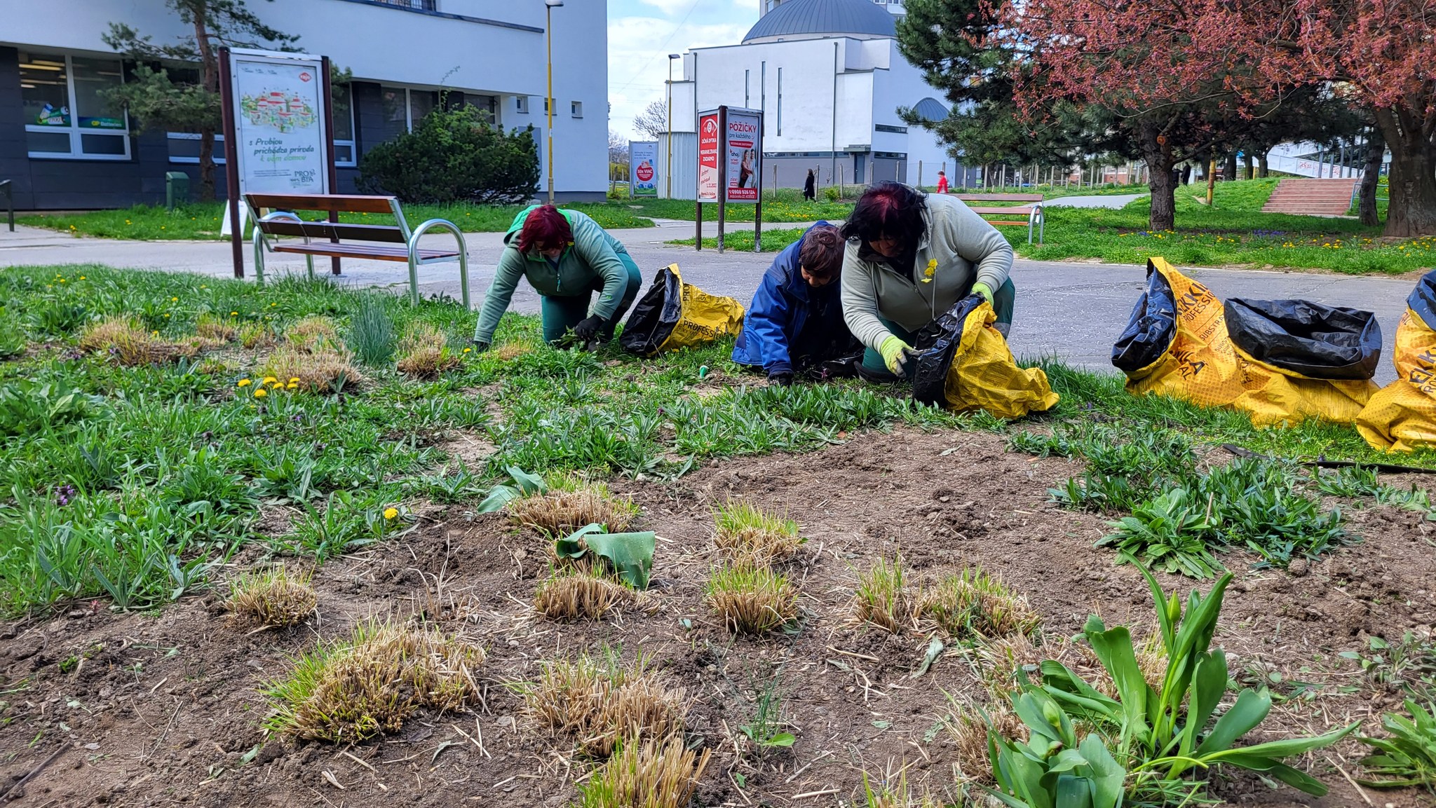 Záhony pred Poliklinikou Nad jazerom prešli príťažlivou premenou