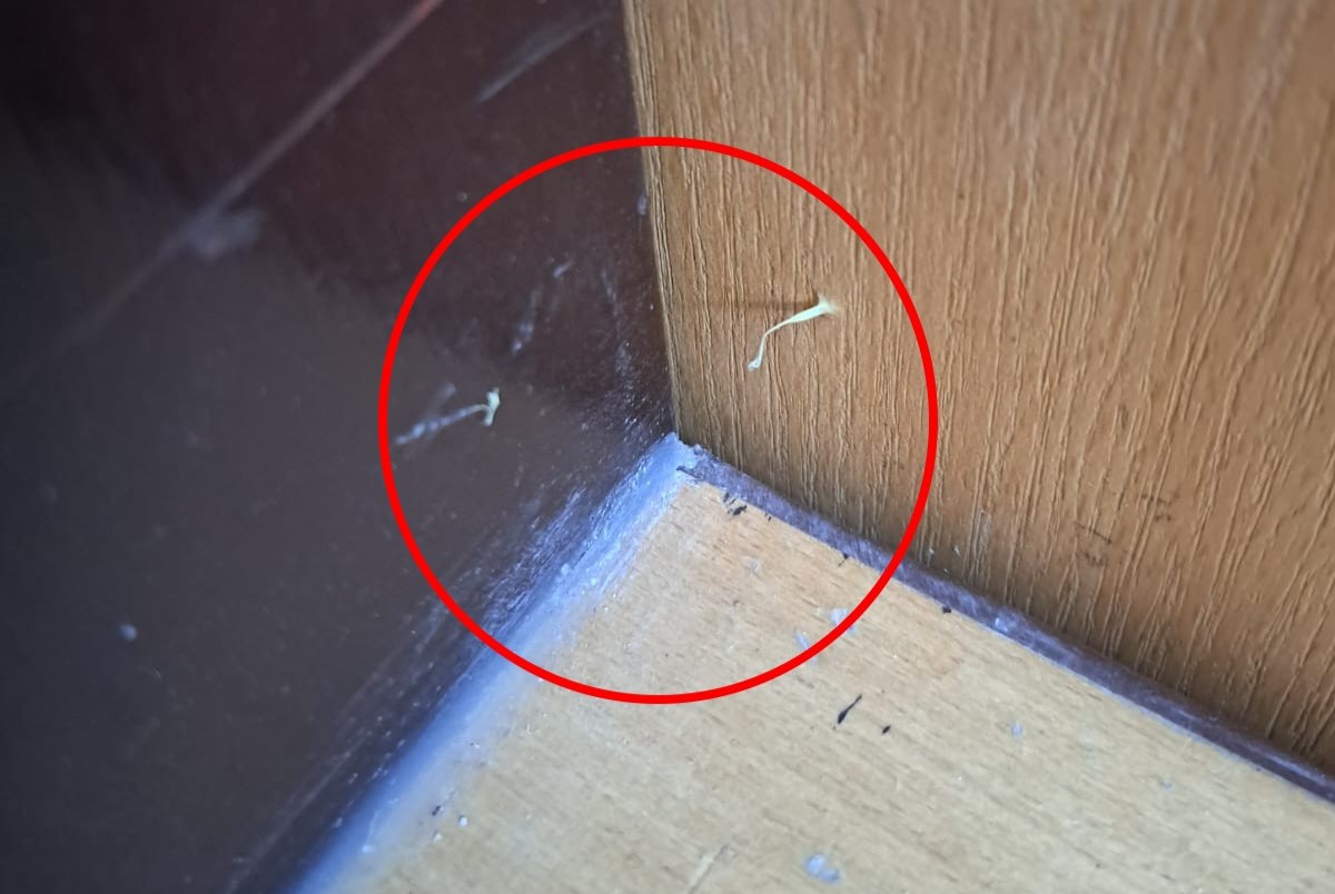 Dávajte si pozor. Zlodeji pred vlámaním označujú byty silikónom