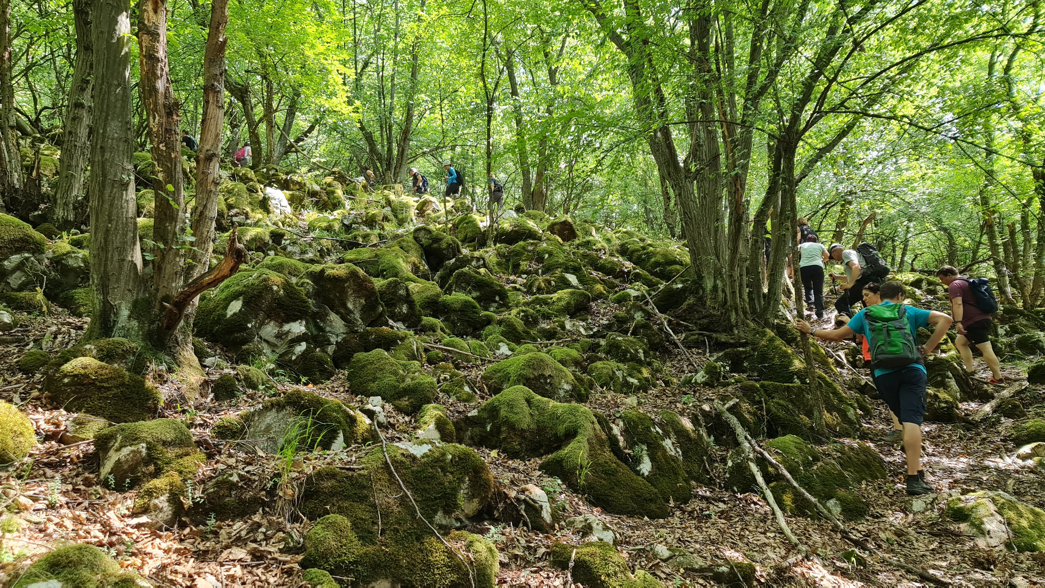 V najvyššom stupni ochrany by mala byť štvrtina Slovenského krasu