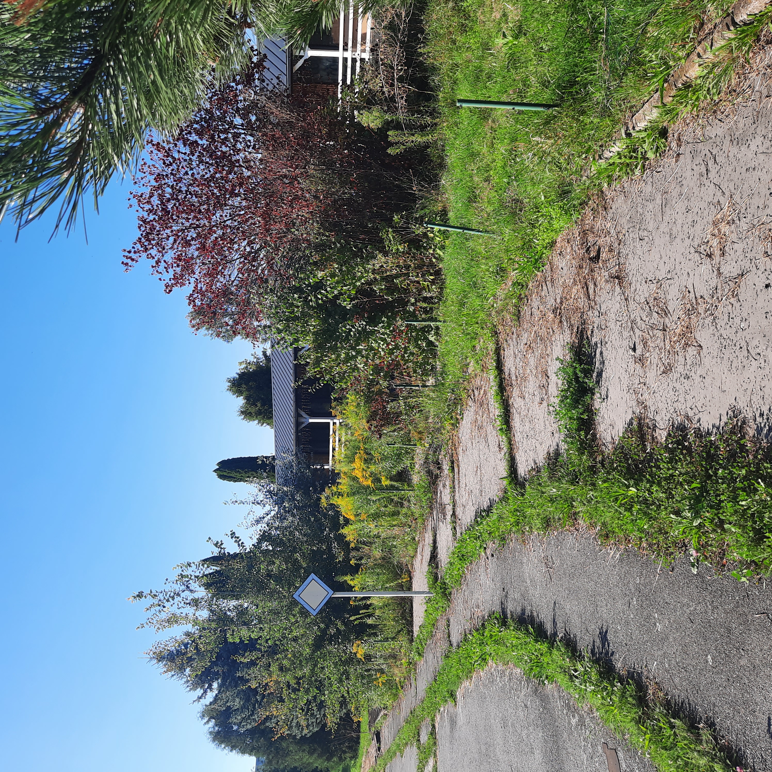 Kedysi pýcha Prešova, dnes burinou zarastený areál: Čo bude s legendárnym dopravným ihriskom?