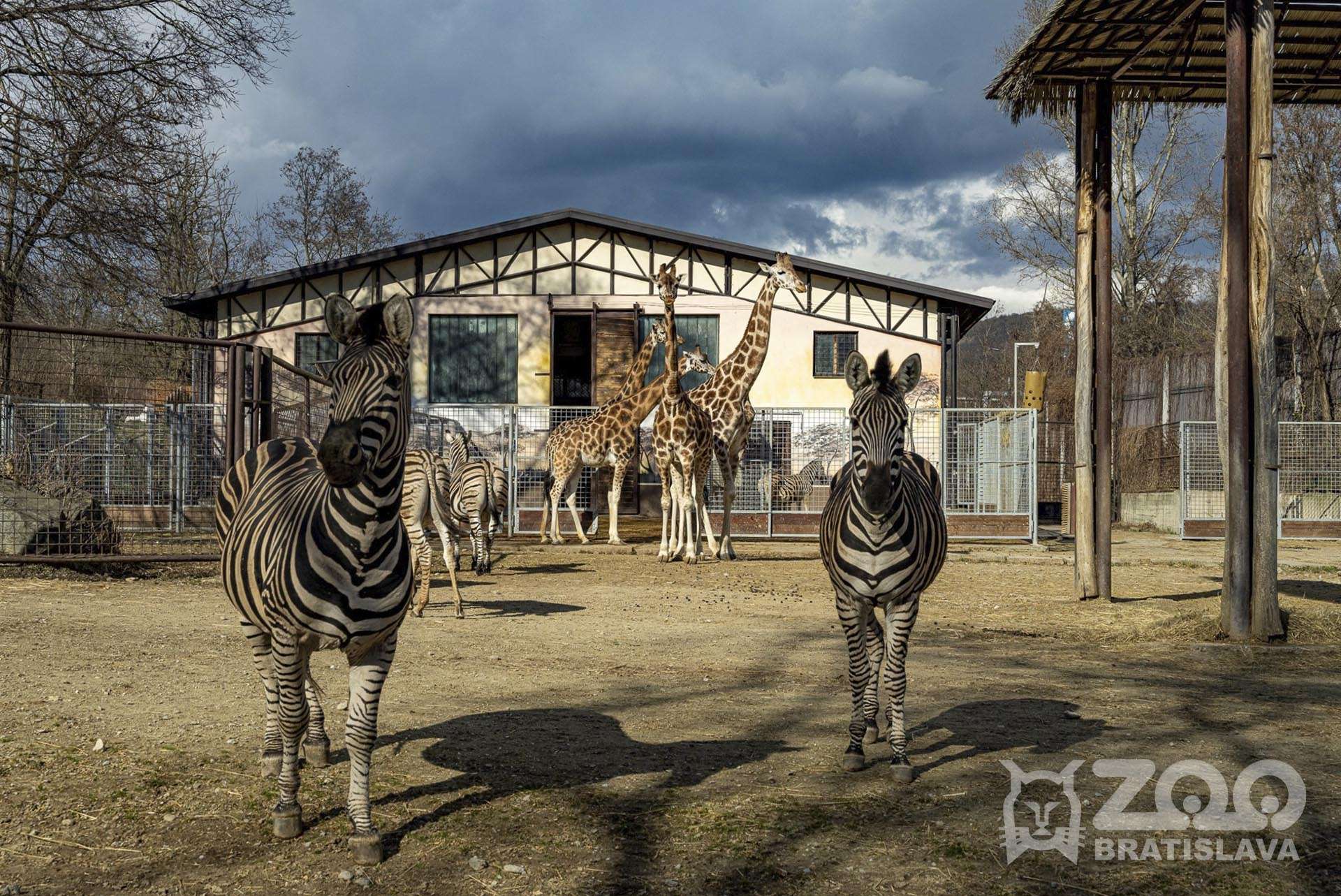 Bratislavská ZOO sa s letom rozlúči Festivalom smiechu