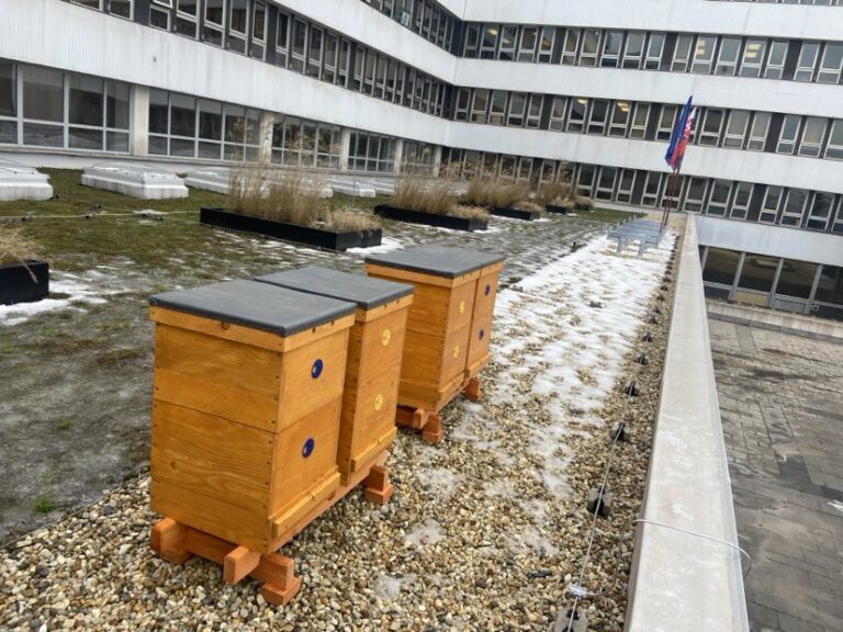 Úle na streche magistrátu zatiaľ čakajú na svoje včely. Foto: Eva Mikulová