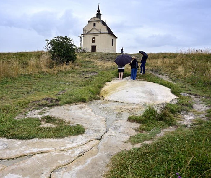 Sivá Brada